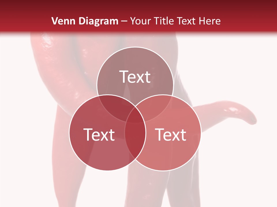 People Character Board PowerPoint Template