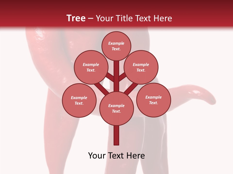 People Character Board PowerPoint Template