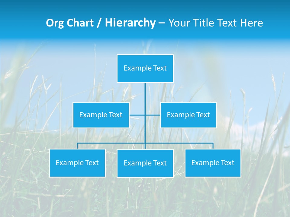 Sunlight Beauty Peaceful PowerPoint Template