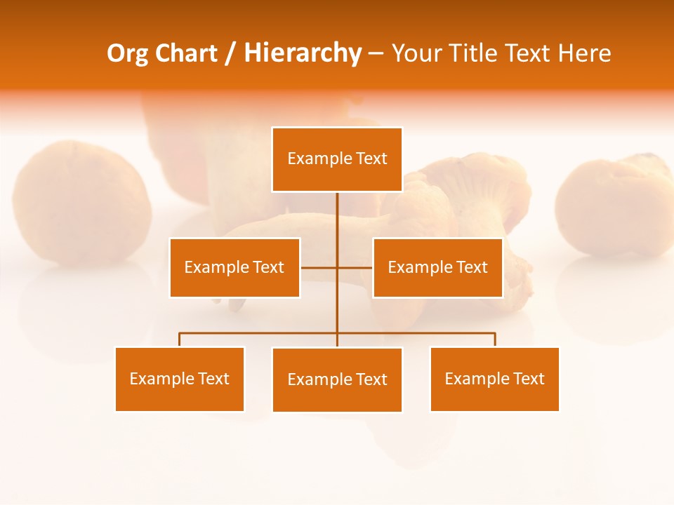 Character Board Toon PowerPoint Template