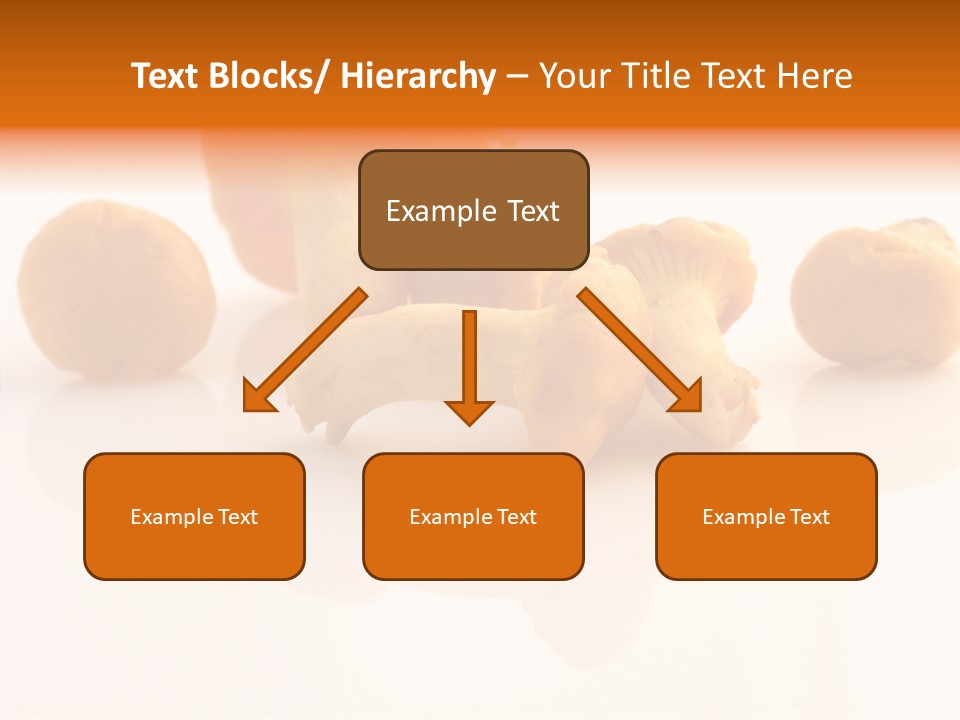 Character Board Toon PowerPoint Template