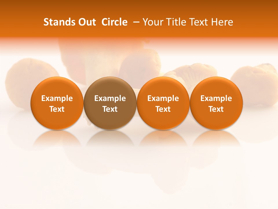 Character Board Toon PowerPoint Template