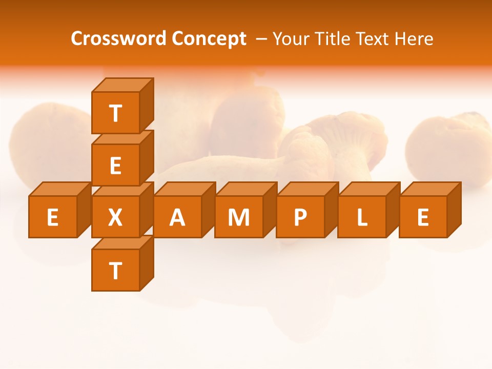 Character Board Toon PowerPoint Template