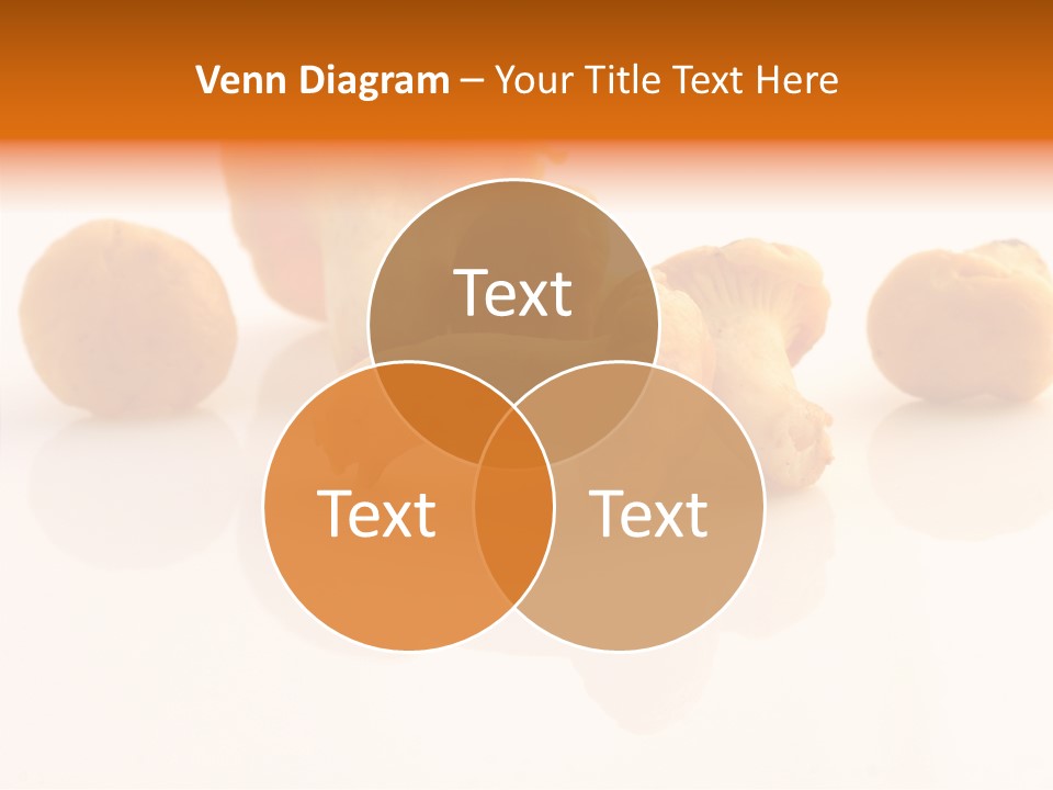 Character Board Toon PowerPoint Template