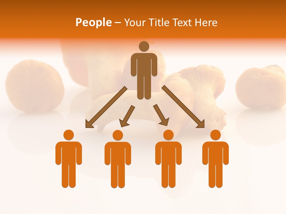 Character Board Toon PowerPoint Template