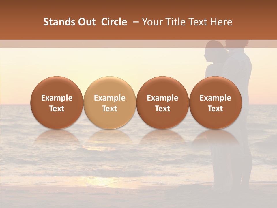 Teamwork Corporate Di Cu Ion PowerPoint Template
