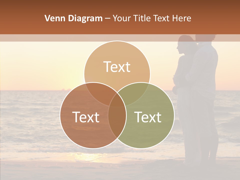 Teamwork Corporate Di Cu Ion PowerPoint Template