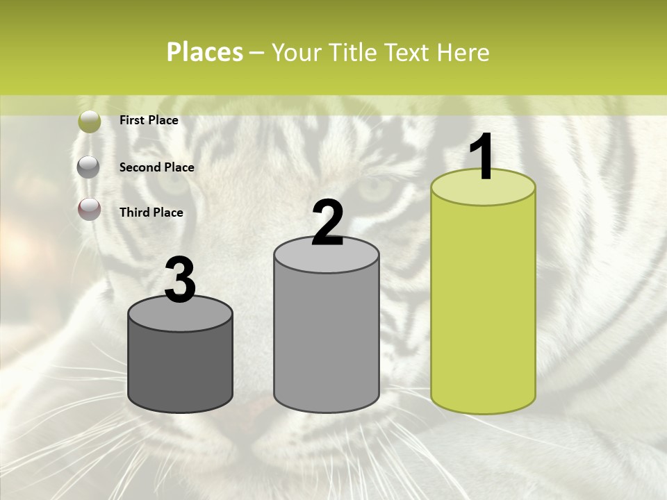 White Cat Exotic PowerPoint Template