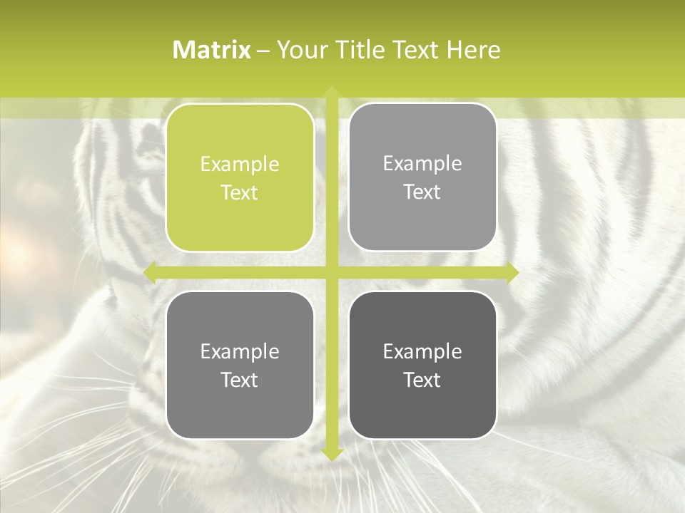 White Cat Exotic PowerPoint Template