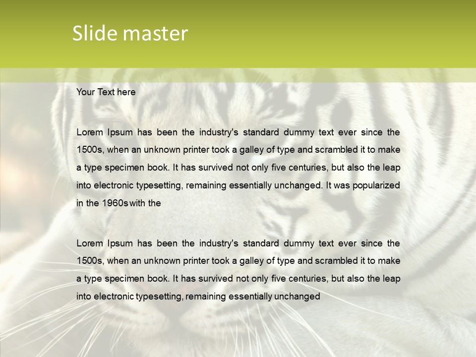White Cat Exotic PowerPoint Template
