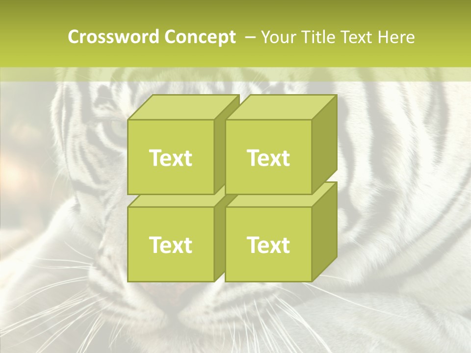 White Cat Exotic PowerPoint Template