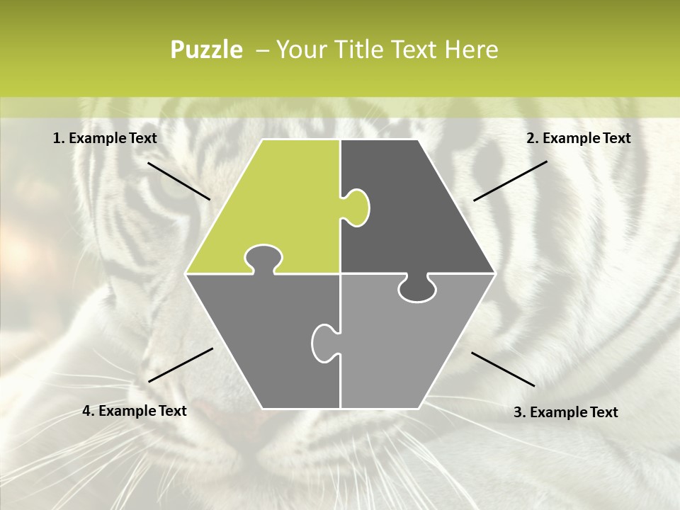 White Cat Exotic PowerPoint Template