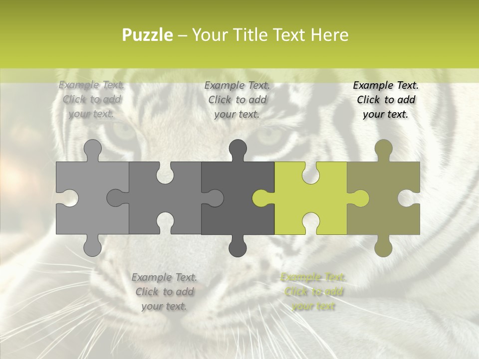 White Cat Exotic PowerPoint Template