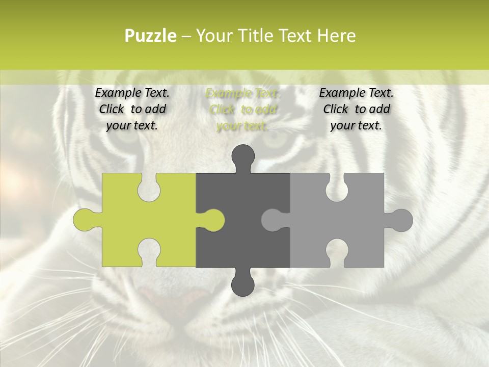 White Cat Exotic PowerPoint Template