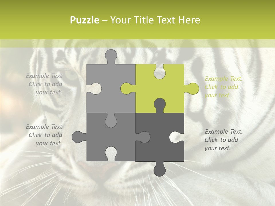 White Cat Exotic PowerPoint Template