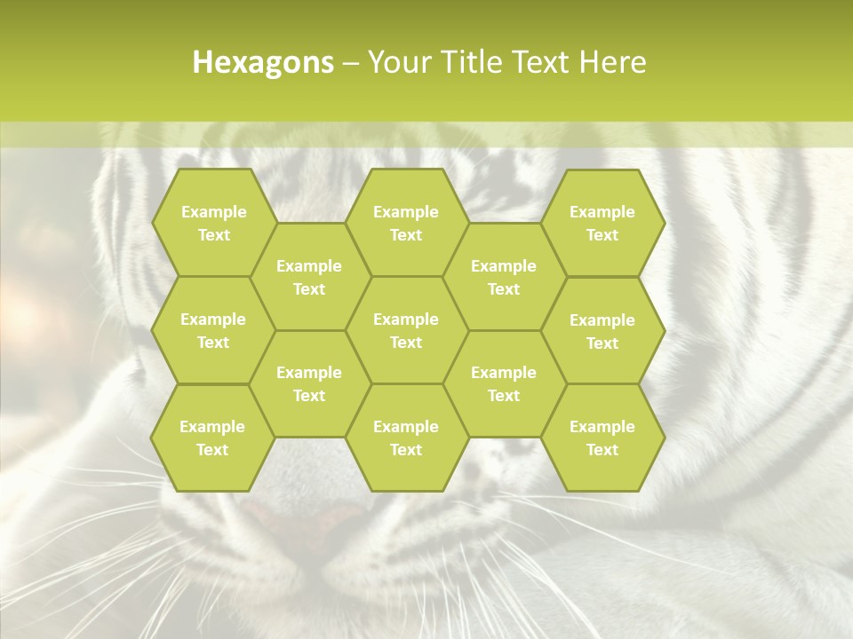 White Cat Exotic PowerPoint Template