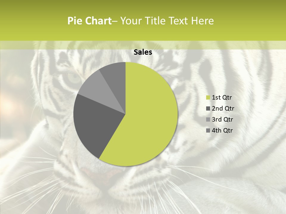 White Cat Exotic PowerPoint Template