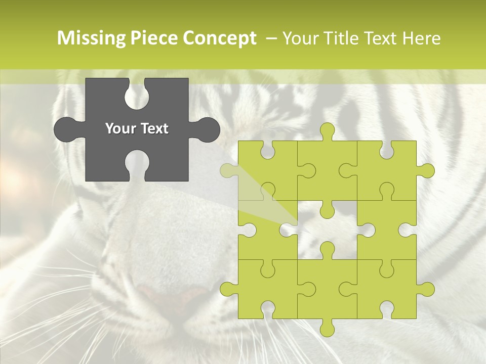 White Cat Exotic PowerPoint Template