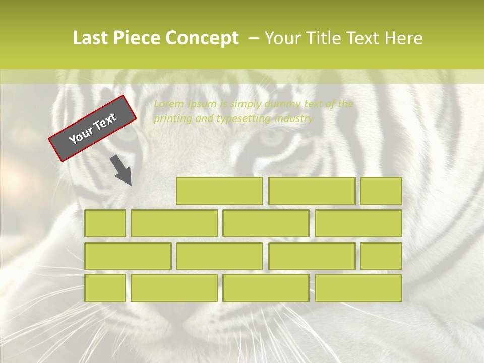 White Cat Exotic PowerPoint Template