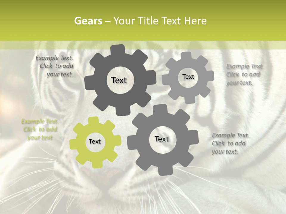 White Cat Exotic PowerPoint Template