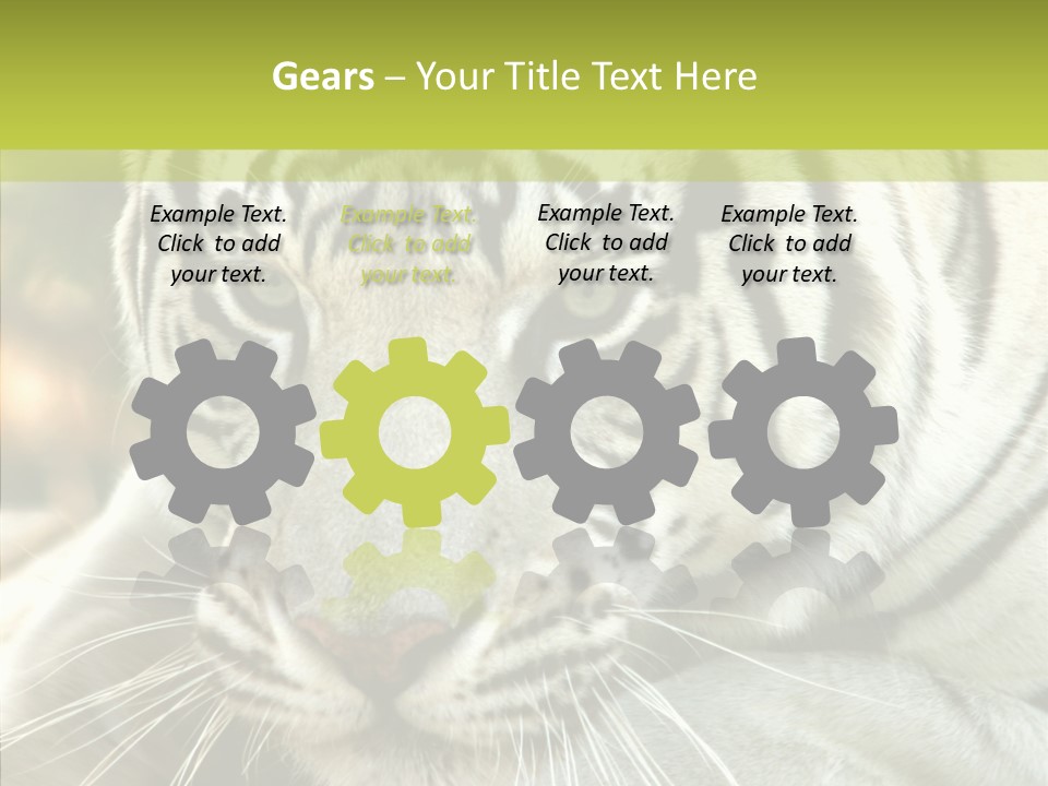 White Cat Exotic PowerPoint Template