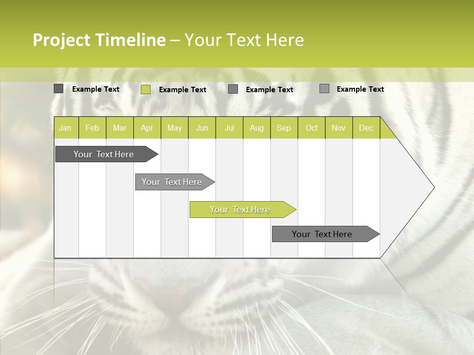 White Cat Exotic PowerPoint Template