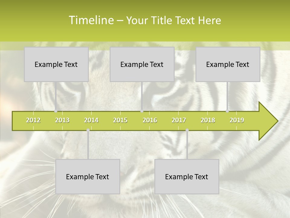 White Cat Exotic PowerPoint Template