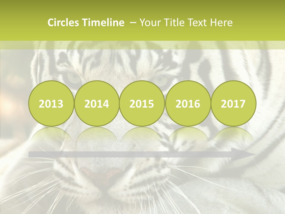 White Cat Exotic PowerPoint Template