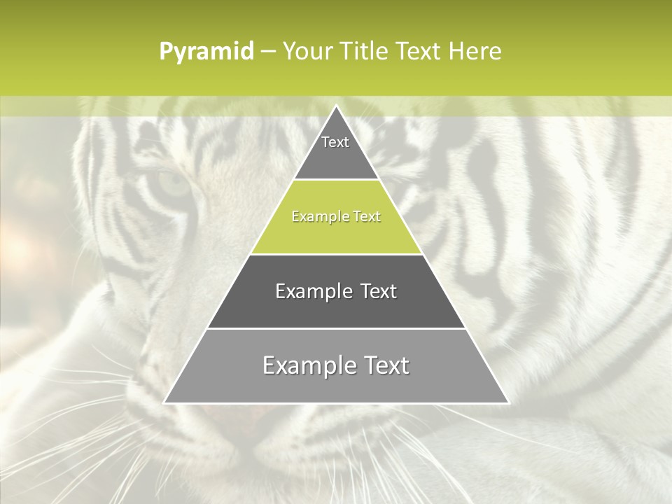 White Cat Exotic PowerPoint Template