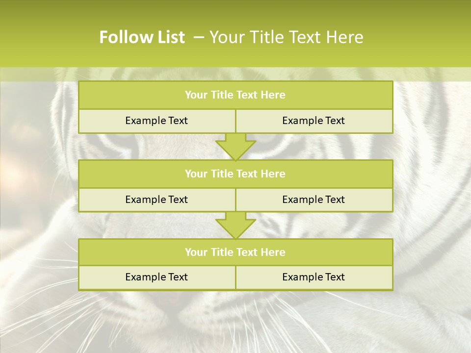 White Cat Exotic PowerPoint Template