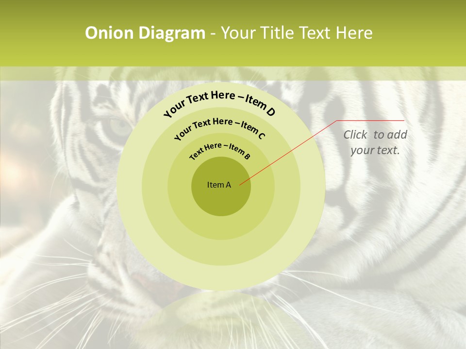 White Cat Exotic PowerPoint Template