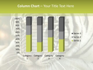 White Cat Exotic PowerPoint Template