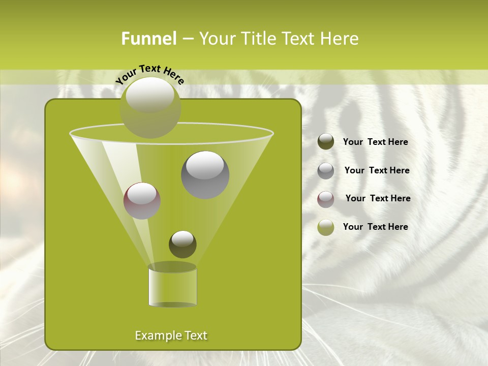 White Cat Exotic PowerPoint Template