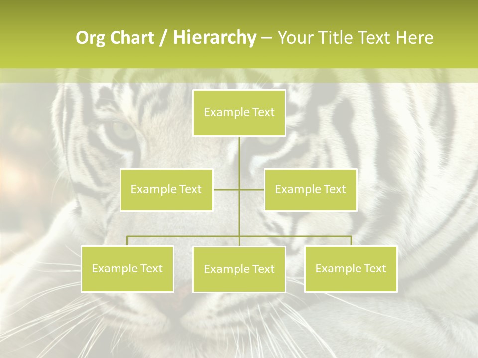 White Cat Exotic PowerPoint Template