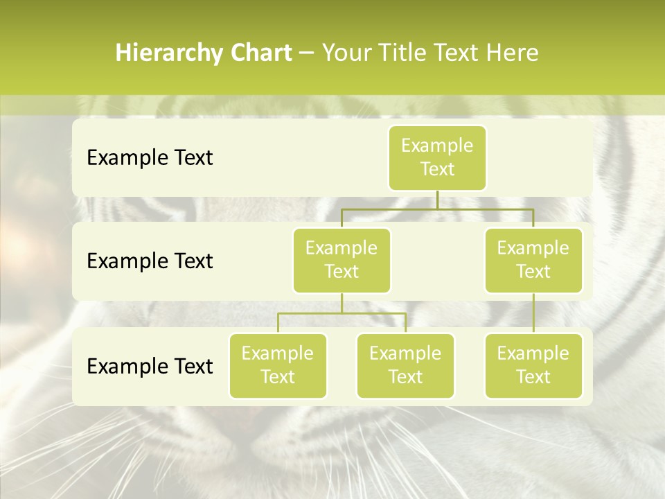 White Cat Exotic PowerPoint Template