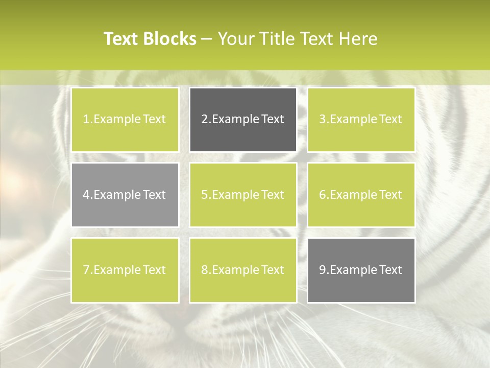 White Cat Exotic PowerPoint Template