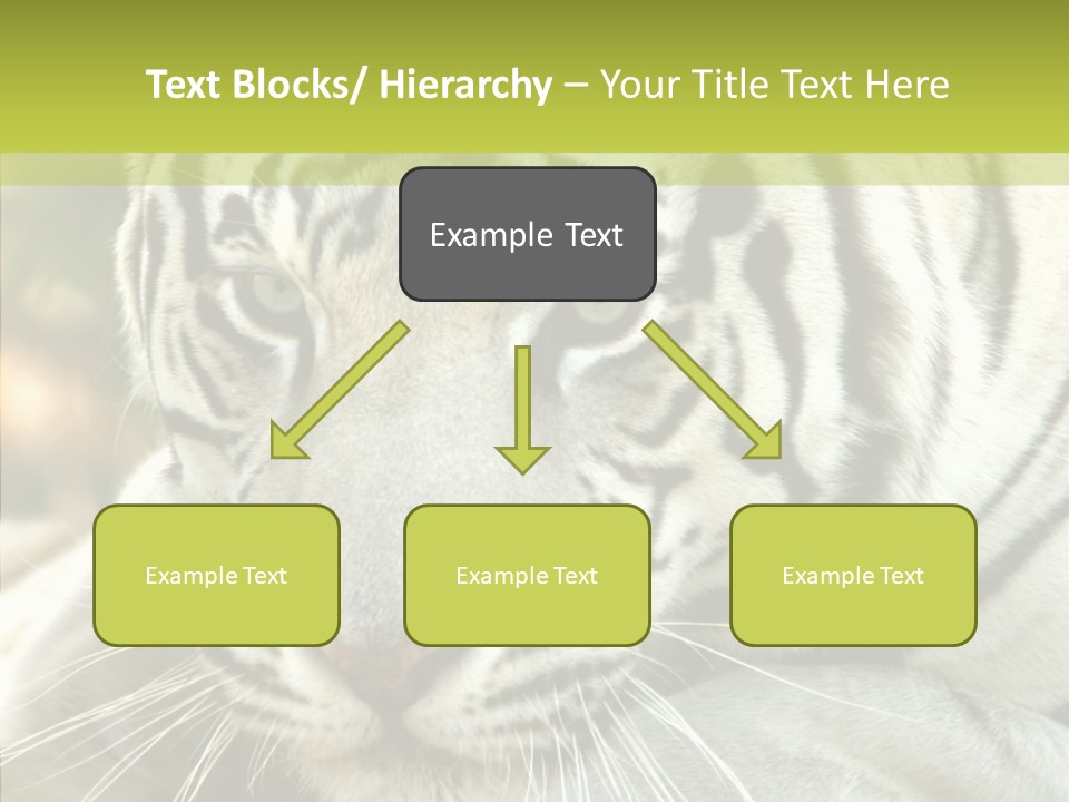 White Cat Exotic PowerPoint Template