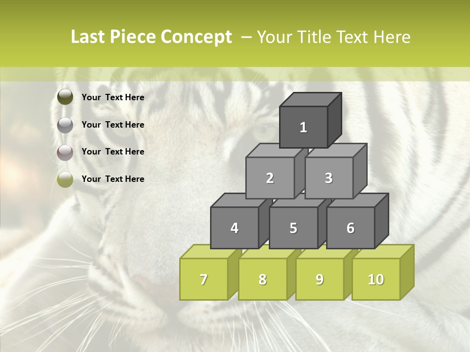 White Cat Exotic PowerPoint Template