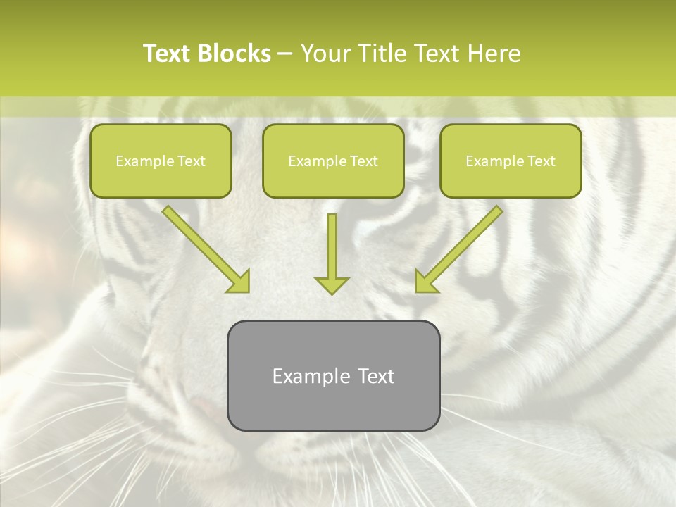 White Cat Exotic PowerPoint Template