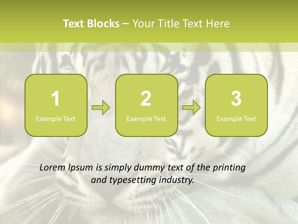 White Cat Exotic PowerPoint Template