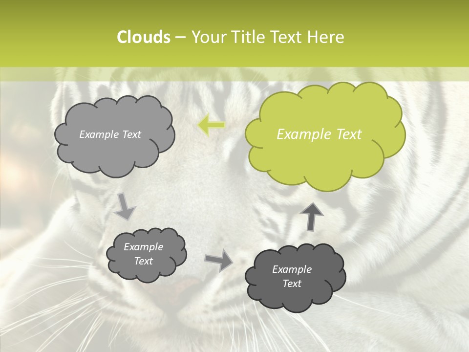 White Cat Exotic PowerPoint Template