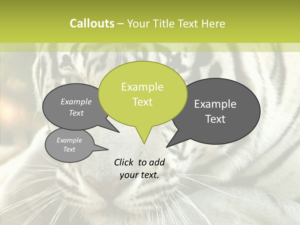 White Cat Exotic PowerPoint Template