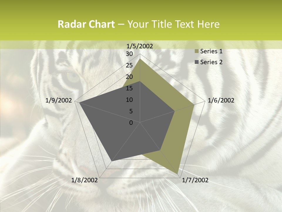 White Cat Exotic PowerPoint Template