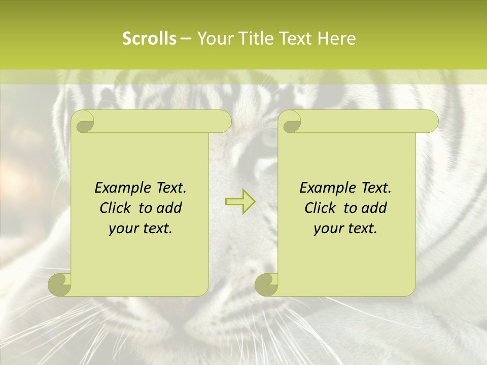 White Cat Exotic PowerPoint Template