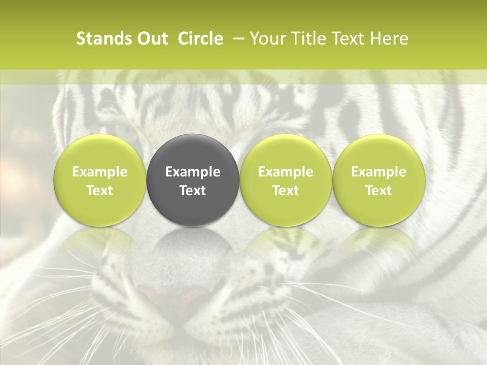 White Cat Exotic PowerPoint Template
