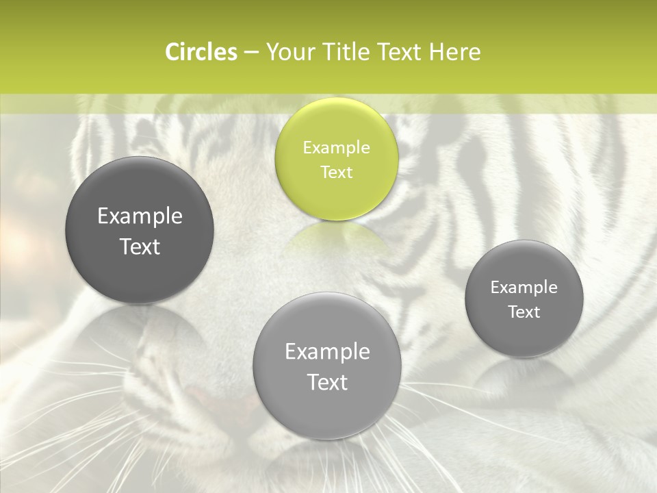 White Cat Exotic PowerPoint Template