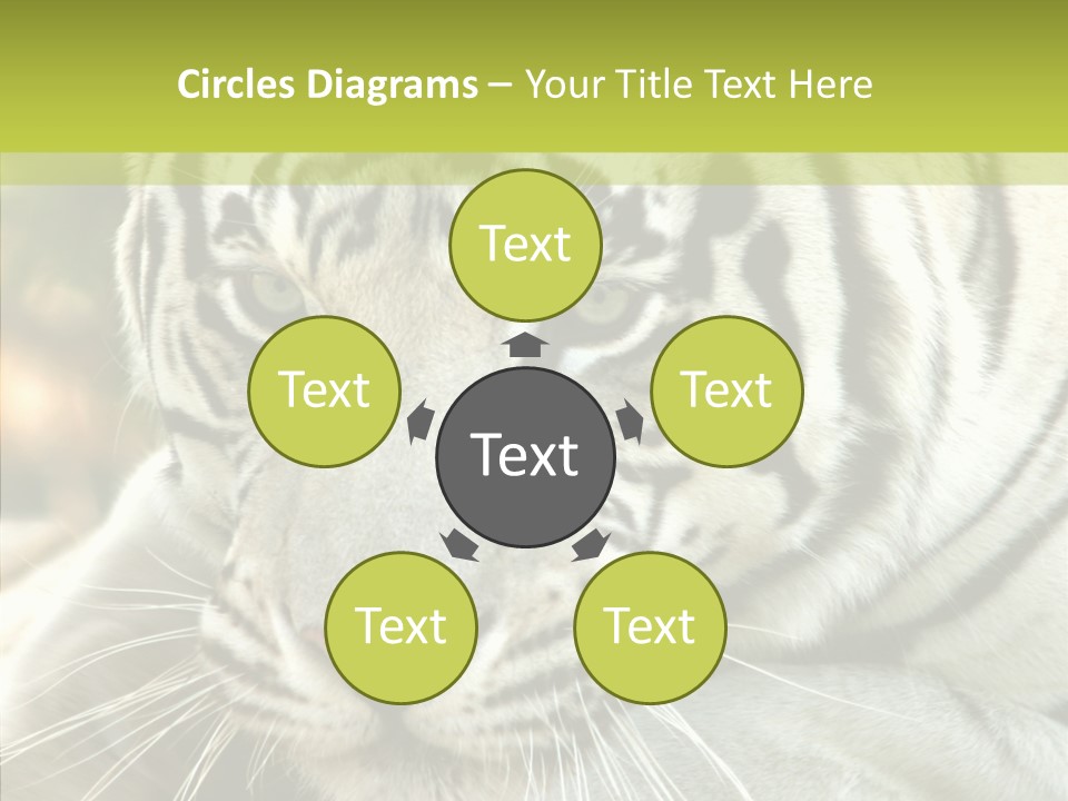 White Cat Exotic PowerPoint Template