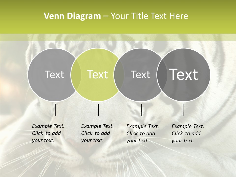 White Cat Exotic PowerPoint Template