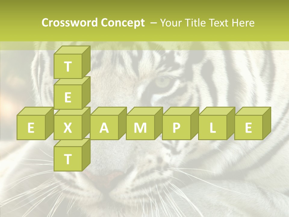 White Cat Exotic PowerPoint Template