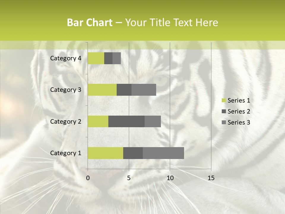 White Cat Exotic PowerPoint Template